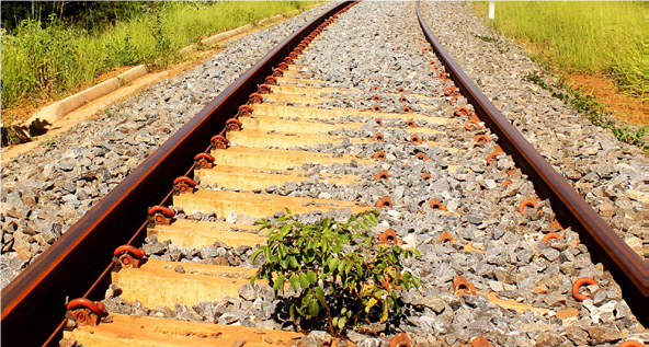 Leilão da Ferrovia Norte-Sul ocorre no final de março